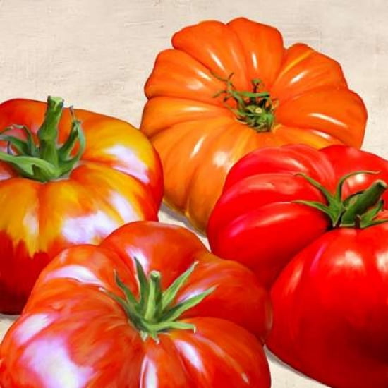 Posterazzi Tomatoes Canvas Art - Remo Barbieri (24 x 24)