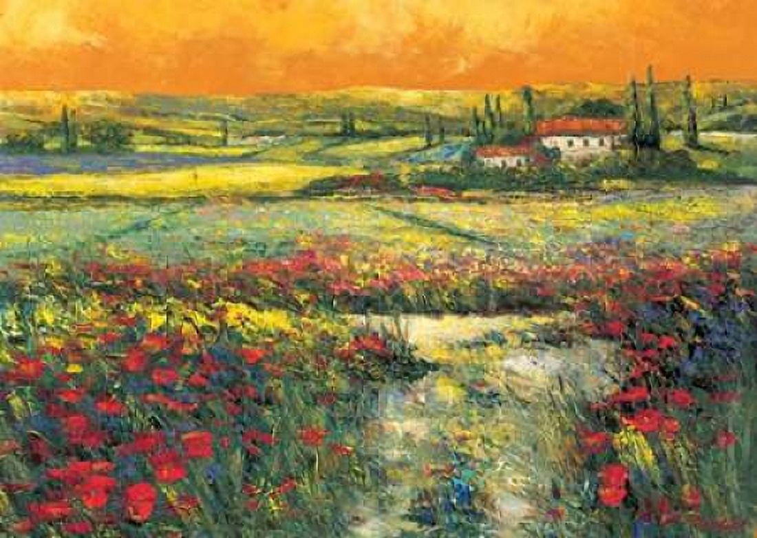 Posterazzi Toskana Canvas Art - Madjid (20 x 28)