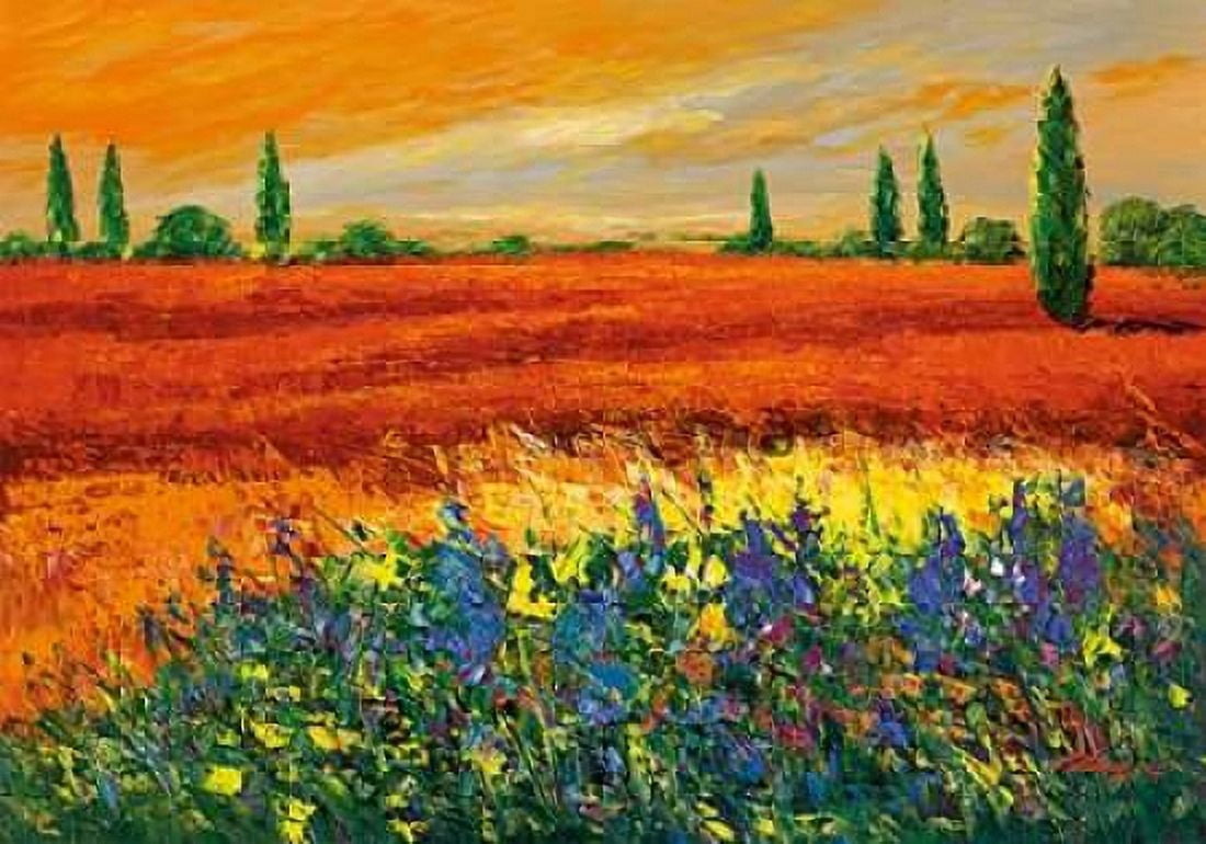 Posterazzi Toskana III Canvas Art - Madjid (20 x 28)