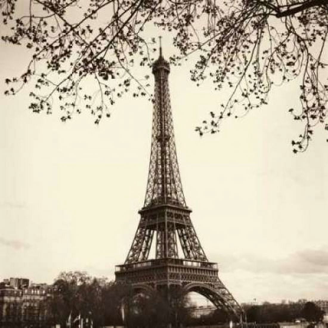 Posterazzi Tour Eiffel Canvas Art - Alan Blaustein (24 x 24)