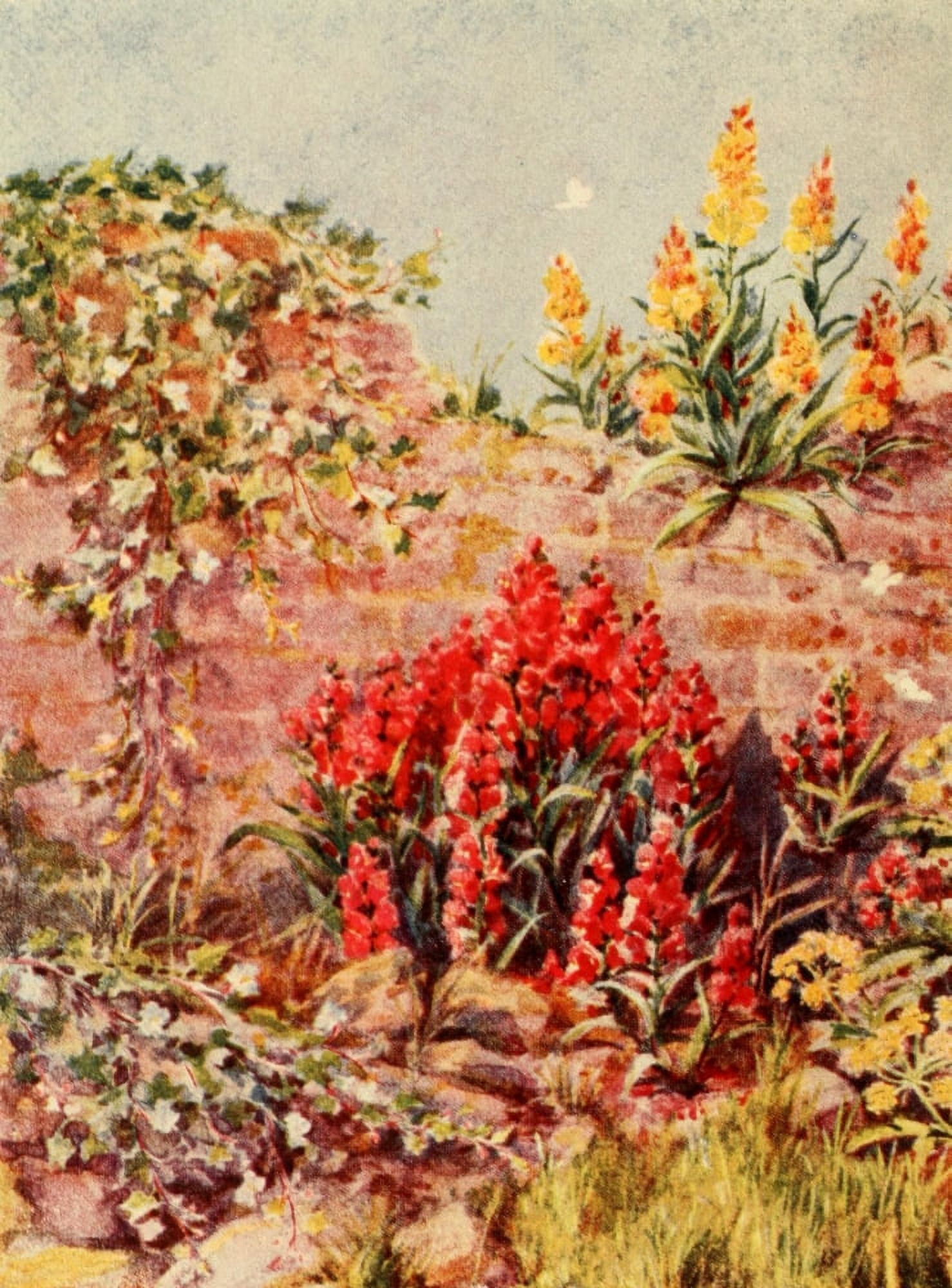 Posterazzi Town Gardening 1922- Garden Canvas Art - Unknown (24 x 36)