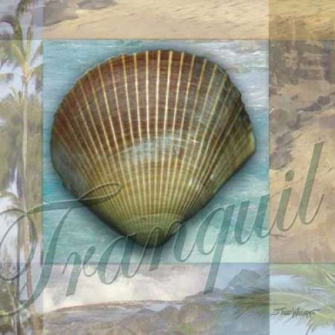 Posterazzi Tranquil Shell Canvas Art - Todd Williams (24 x 24)