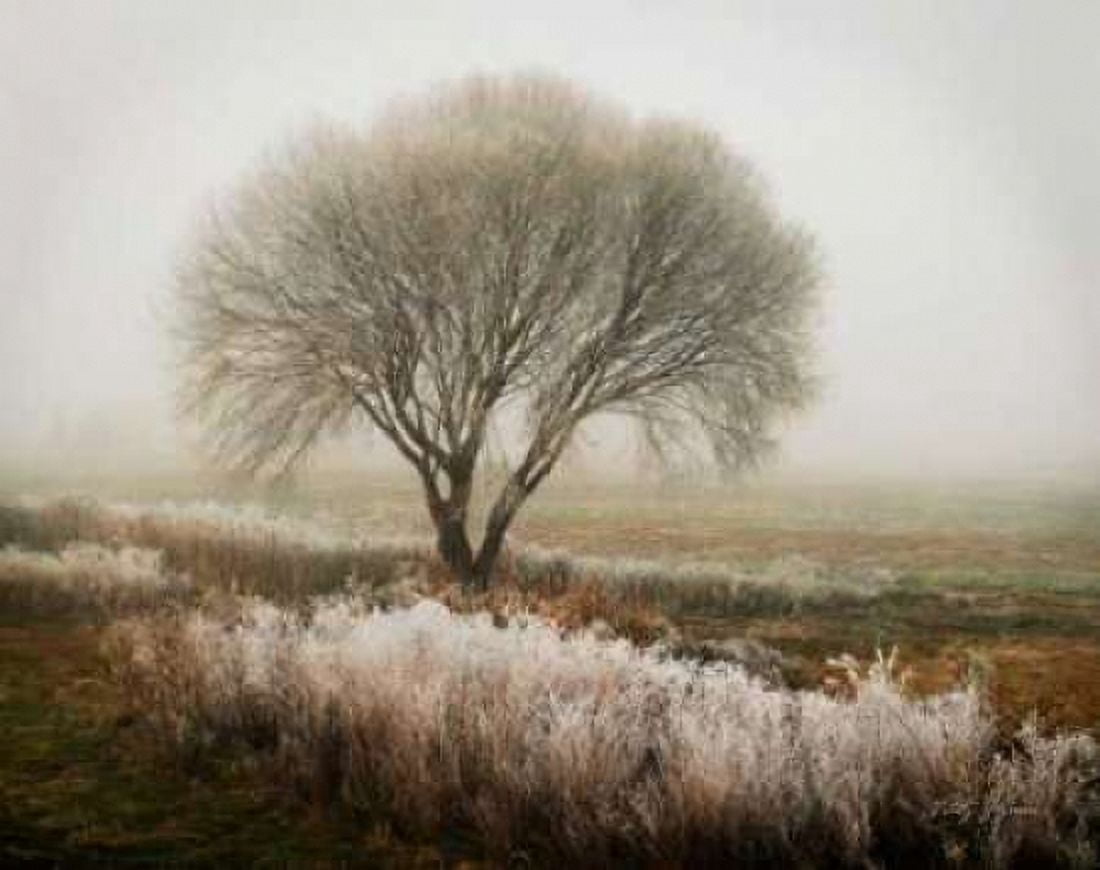 Posterazzi Tranquility I Canvas Art - Vitaly Geyman (24 x 30)