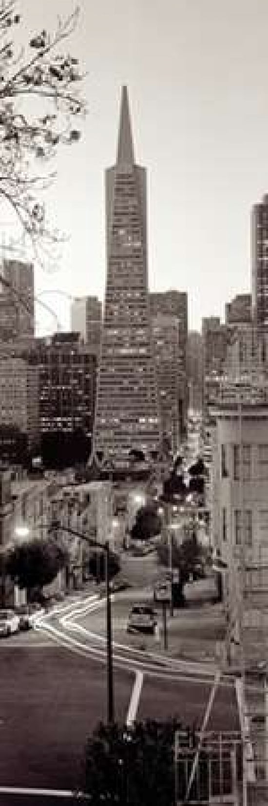 Posterazzi Transamerica Pano - 1 Canvas Art - Alan Blaustein (12 x 36)