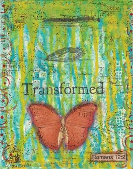 Posterazzi Transformed Canvas Art - Cassandra Cushman (22 x 28)