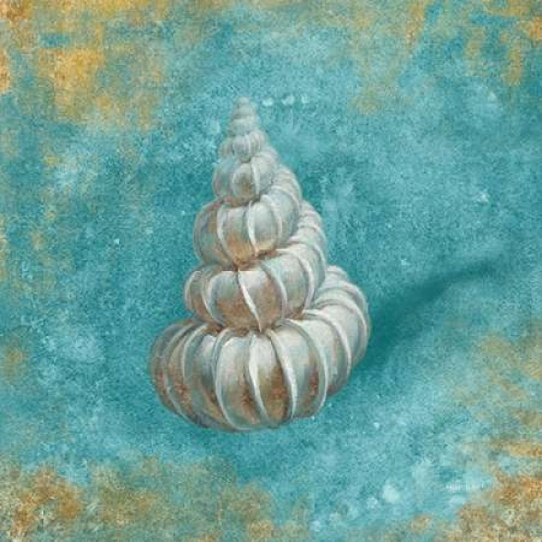 Posterazzi Treasures from the Sea II Aqua Canvas Art - Danhui Nai (24 x 24)