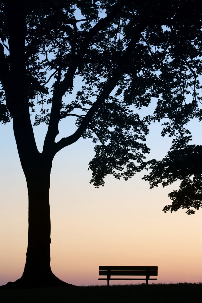 Posterazzi Tree And Bench Silhouette Niagara-On-The-Lake Ontario Canada Canvas Art - Darwin Wiggett Design Pics (22 x 34)