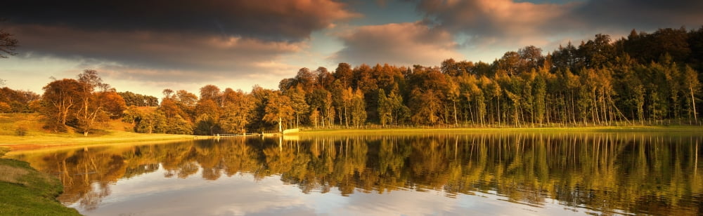 Posterazzi Trees Lining The Waters Edge Reflected In The Water In Autumn North Yorkshire England Canvas Art - John Short  Design Pics (44 x 14)