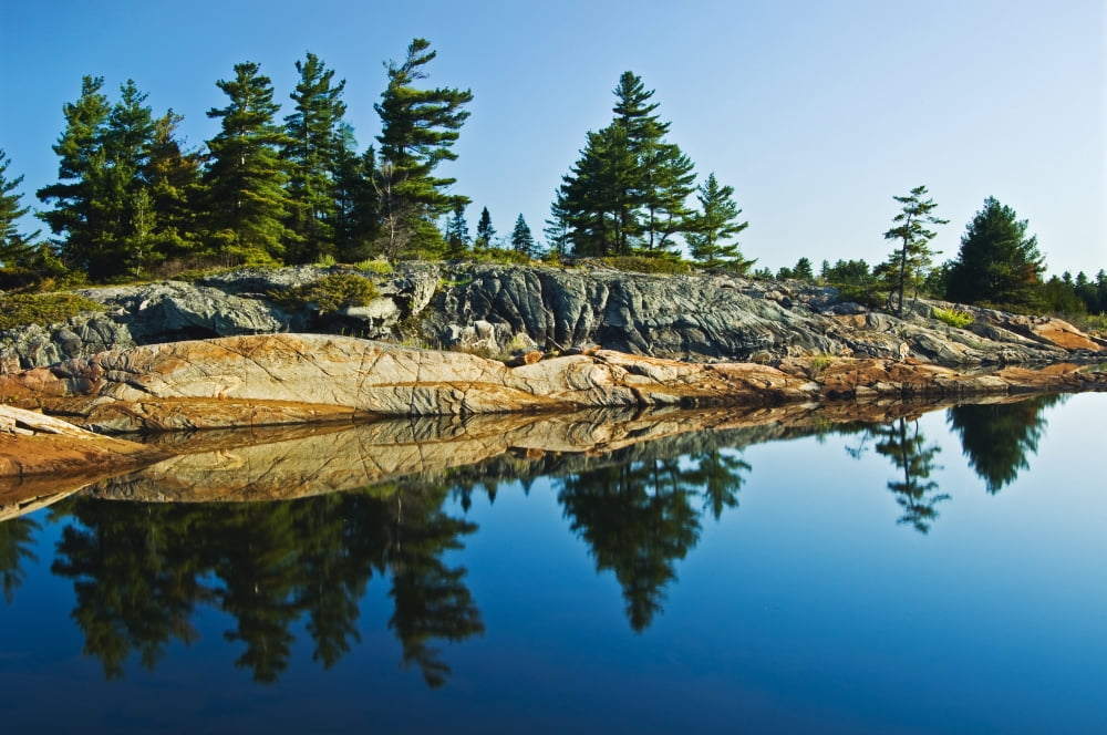 Posterazzi Trees Reflection In Water Georgian Bay Ont Canvas Art - Mike Grandmaison Design Pics (36 x 24)