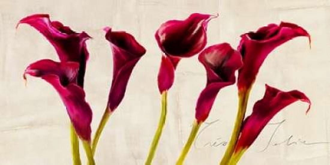 Posterazzi Tres Jolie Canvas Art - Teo Rizzardi (24 x 48)