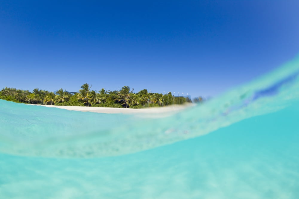 Posterazzi Tropical Island Blue Sky and Beautiful Ocean Canvas Art - Design Pics Vibe  Design Pics (34 x 22)