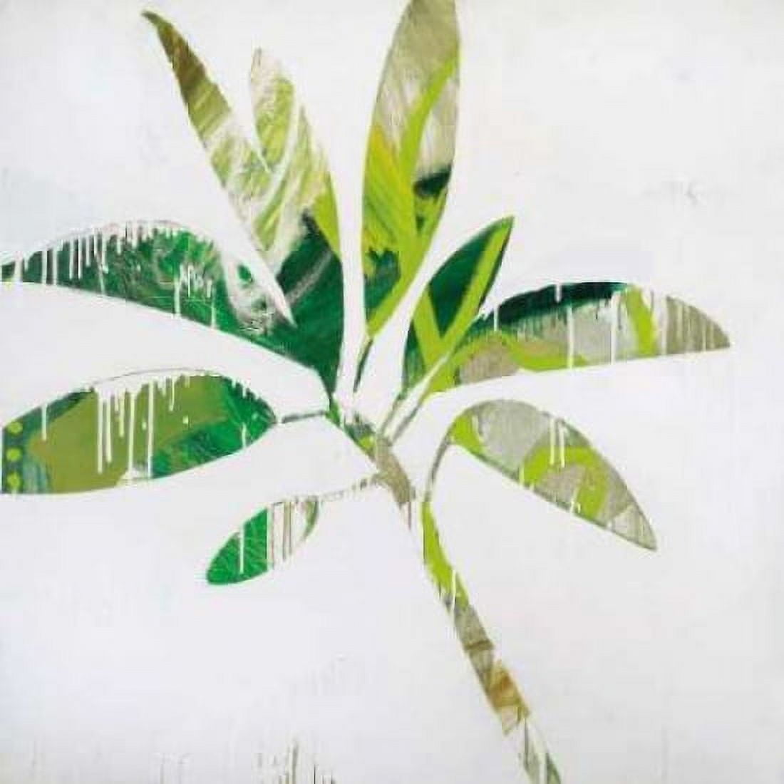Posterazzi Tropical Landscape IV Canvas Art - Brenda K Bredvik (24 x 24)
