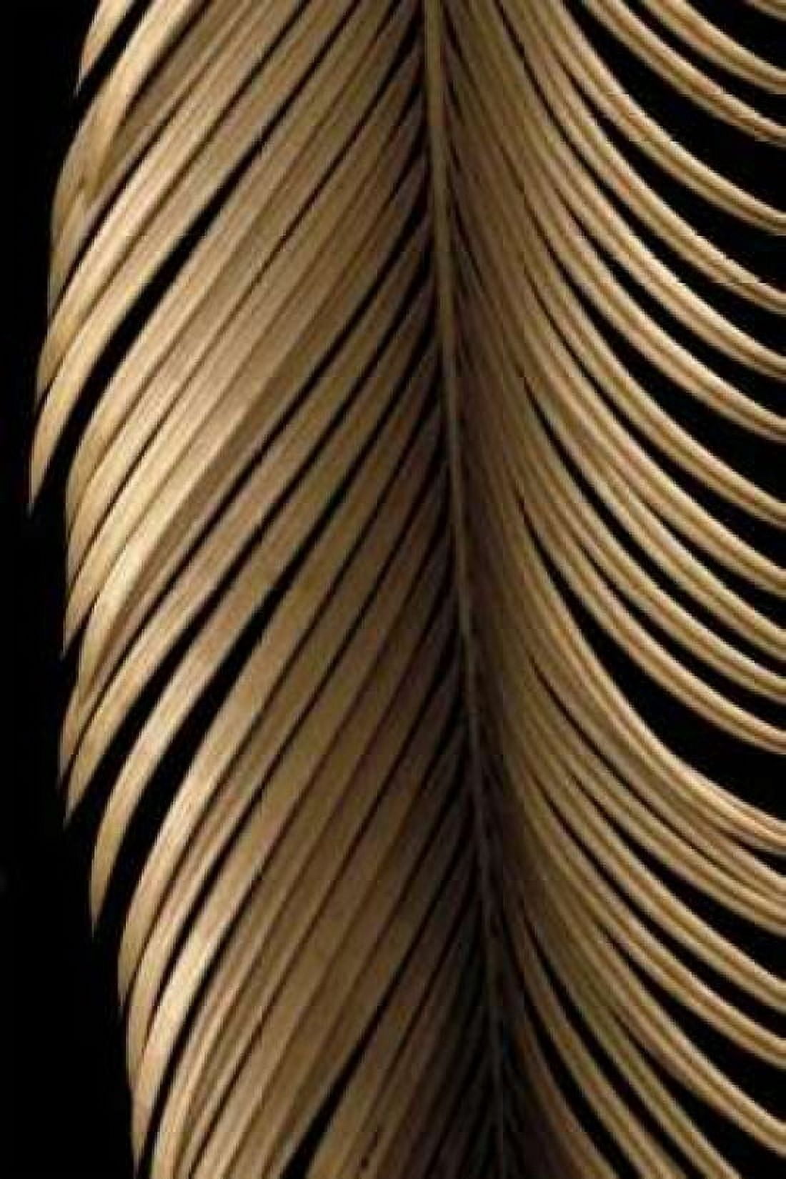 Posterazzi Tropical Leaf Study II Canvas Art - Andrew Levine (24 x 36)