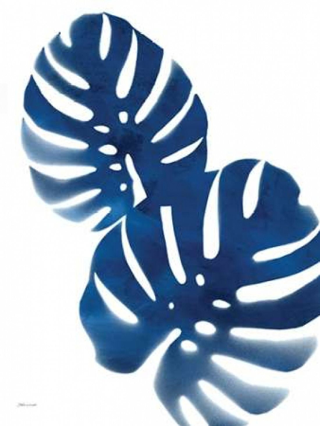 Posterazzi Tropicals in Blue Canvas Art - Stephanie Marrott (18 x 24)