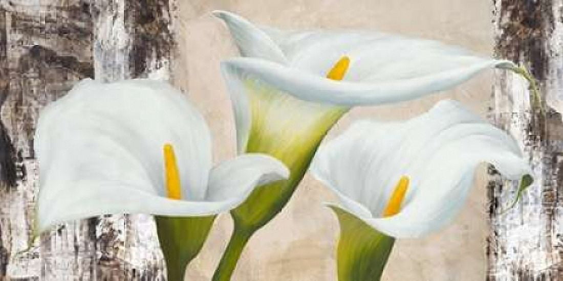 Posterazzi True Nature Canvas Art - Jenny Thomlinson (24 x 48)