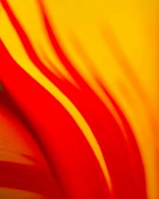 Posterazzi Tulip Abstract I Canvas Art - JoAnn Arduini (24 x 30)