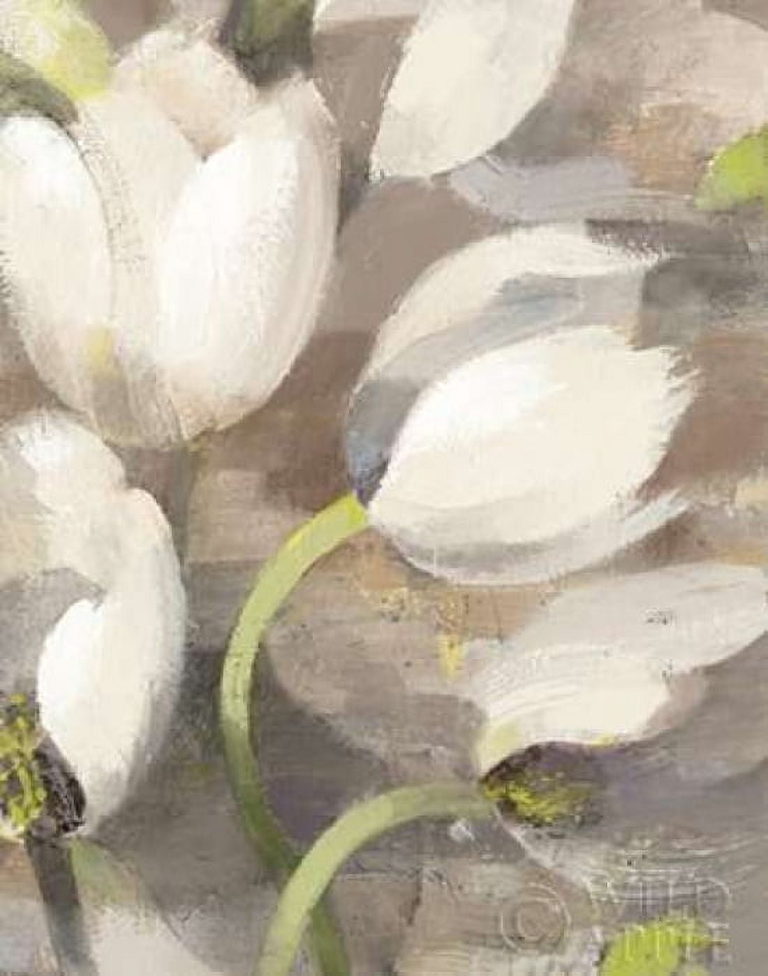 Posterazzi Tulip Delight II Canvas Art - Albena Hristova (22 x 28)