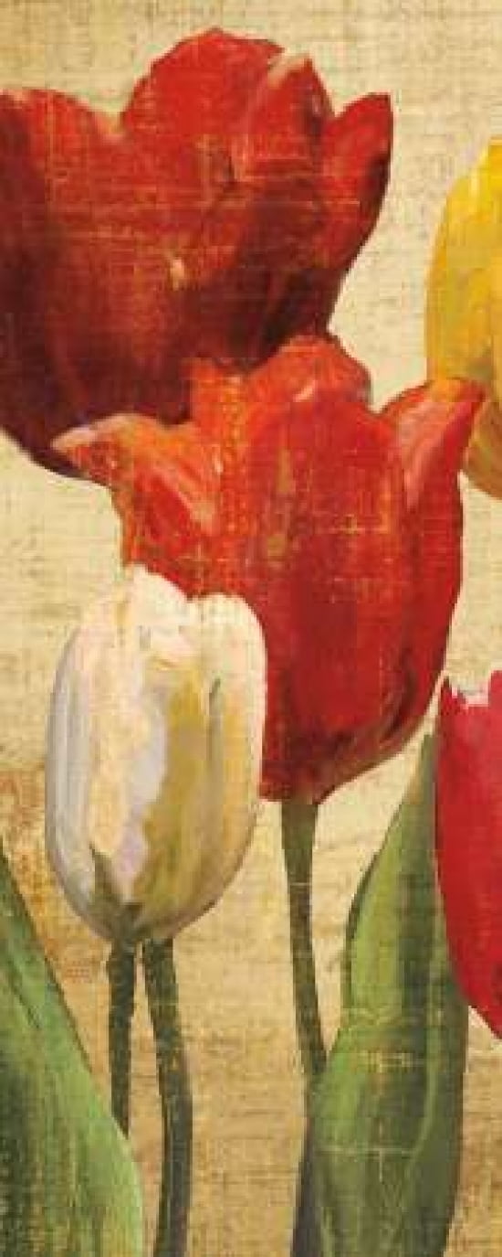Posterazzi Tulip Fantasy on Cream II Canvas Art - Marilyn Hageman (24 x 48)