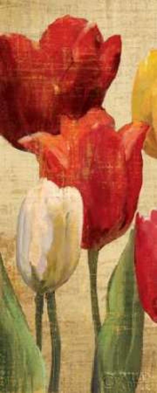 Posterazzi Tulip Fantasy on Cream II Canvas Art - Marilyn Hageman (24 x 48)