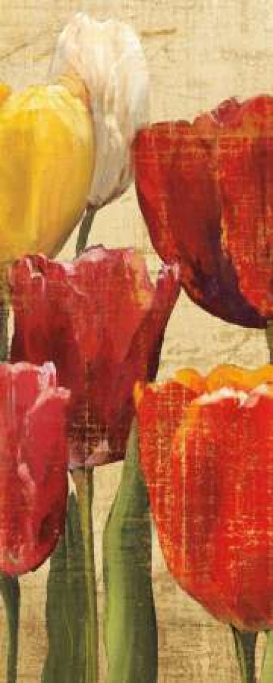 Posterazzi Tulip Fantasy on Cream III Canvas Art - Marilyn Hageman (24 x 48)