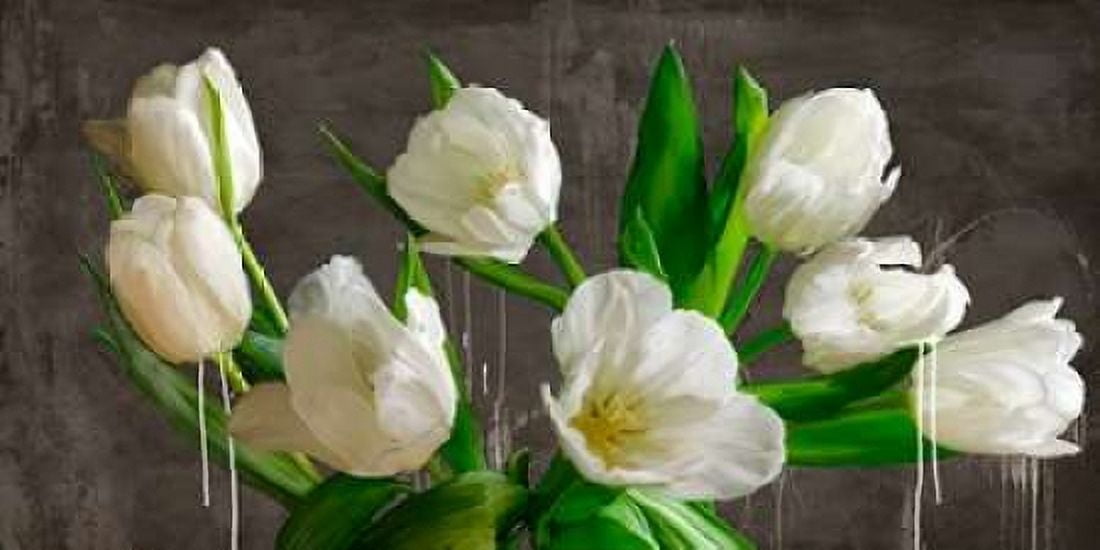 Posterazzi Tulip blackboard Canvas Art - Alex Vinci (10 x 20)
