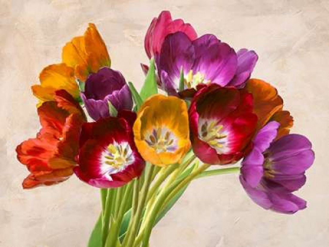 Posterazzi Tulipani danzanti Canvas Art - Teo Rizzardi (22 x 28)