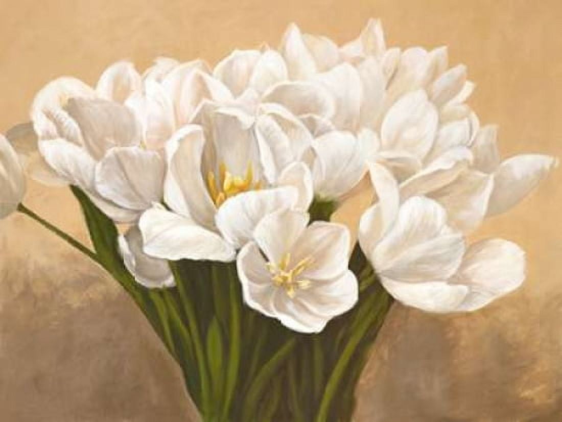 Posterazzi Tulipes blanches Canvas Art - Leonardo Sanna (22 x 28)