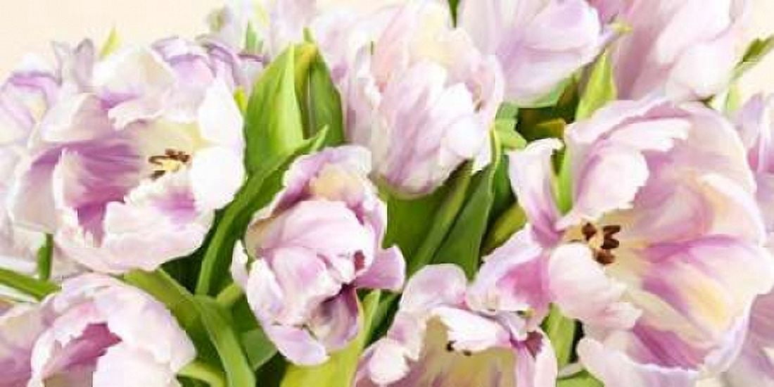 Posterazzi Tulipes en Fleur Canvas Art - Luca Villa (24 x 48)