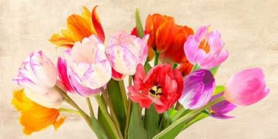 Posterazzi Tulips in Spring Canvas Art - Luca Villa (24 x 48)