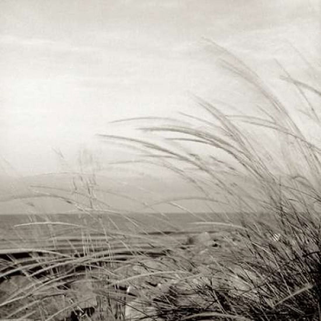 Posterazzi Tuscan Coast Dunes - 1 Canvas Art - Alan Blaustein (24 x 24)