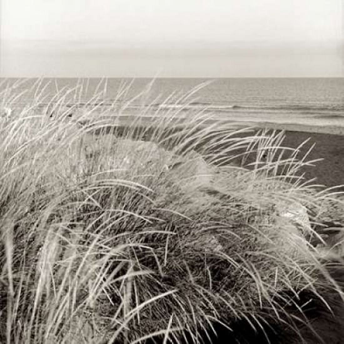 Posterazzi Tuscan Coast Dunes - 3 Canvas Art - Alan Blaustein (24 x 24)