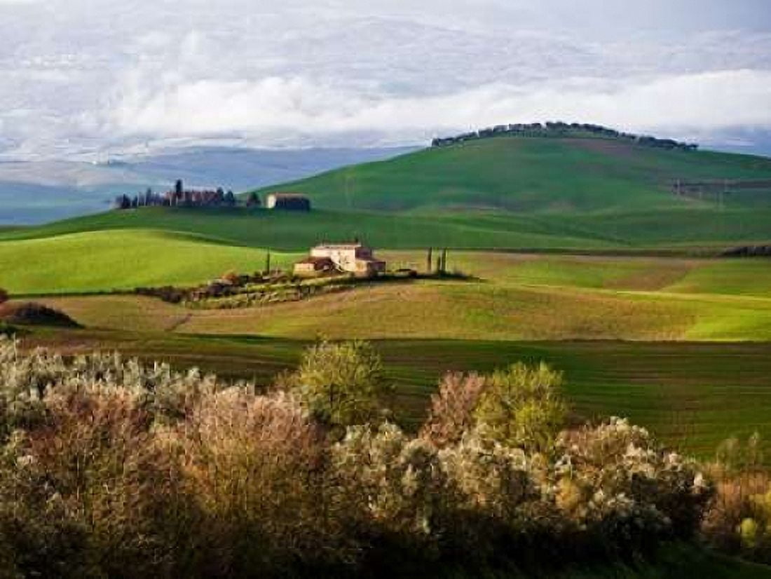 Posterazzi Tuscan Countryside Canvas Art - Vadim Ratsenskiy (22 x 28)