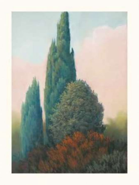 Posterazzi Tuscan Trees I Canvas Art - Allan Stephenson (22 x 28)