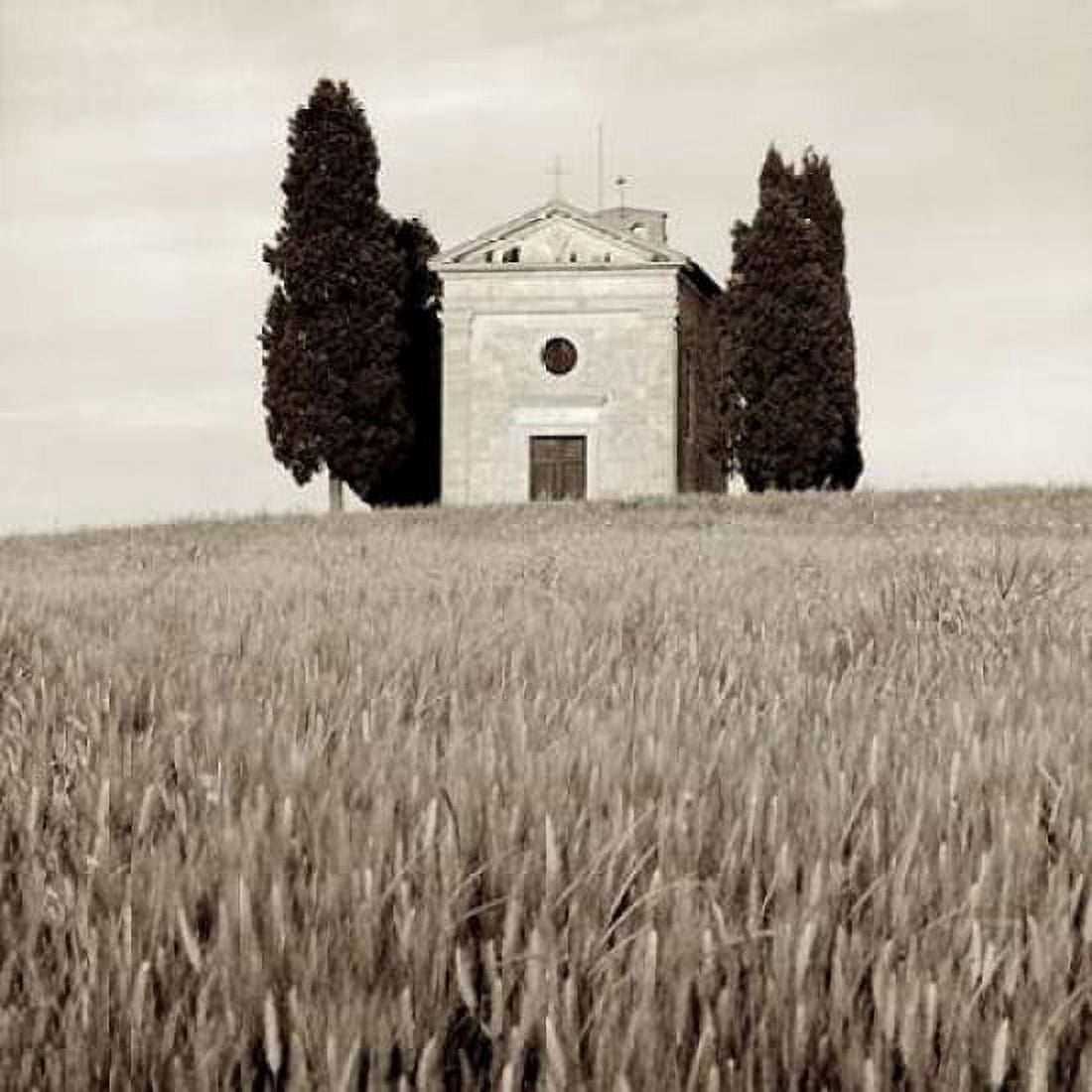 Posterazzi Tuscany - 9 Canvas Art - Alan Blaustein (24 x 24)