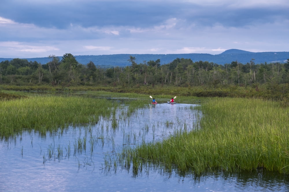 Posterazzi Two kayaks on Brome Lake Quebec Canada Canvas Art - Jacques Laurent Design Pics (38 x 24)