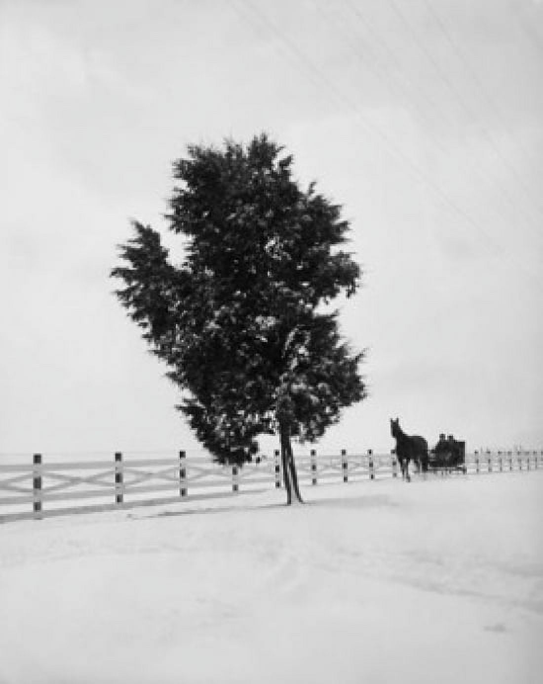 Posterazzi Two people in a horsedrawn sleigh Canvas Art - (24 x 36)