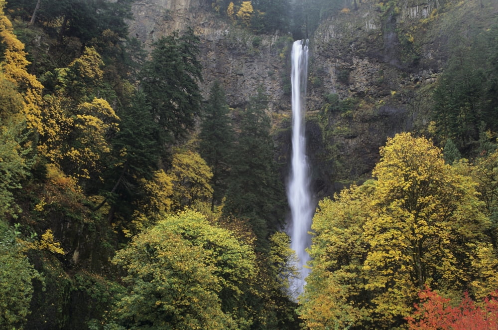 Posterazzi USA Columbia River Gorge Oregon Multnomah Falls Among Fall Colors Canvas Art - Greg Vaughn Design Pics (34 x 22)