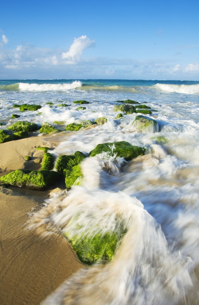 Posterazzi USA Hawaii Islands Maui Surf washing over rocks Baldwin Beach Canvas Art - Ron Dahlquist Design Pics (22 x 34)
