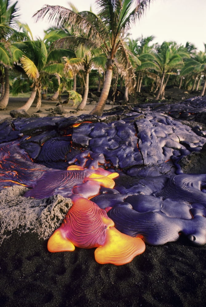 Posterazzi USA Hawaii Volcanoes National Park Big Island Hawaii Pahoehow Lava Flowing By Palm Trees Near Kamoamoa Eruption Of Kilauea Phase 52 Canvas Art - Ron Dahlquist Design Pics (22 x 34)