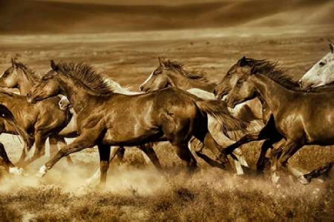 Posterazzi Unbroken Canvas Art - Lisa Dearing (24 x 36)
