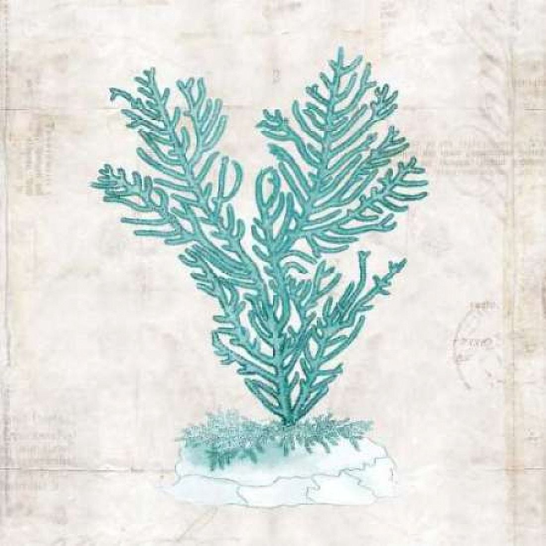 Posterazzi Under the Sea II Canvas Art - Sabine Berg (24 x 24)