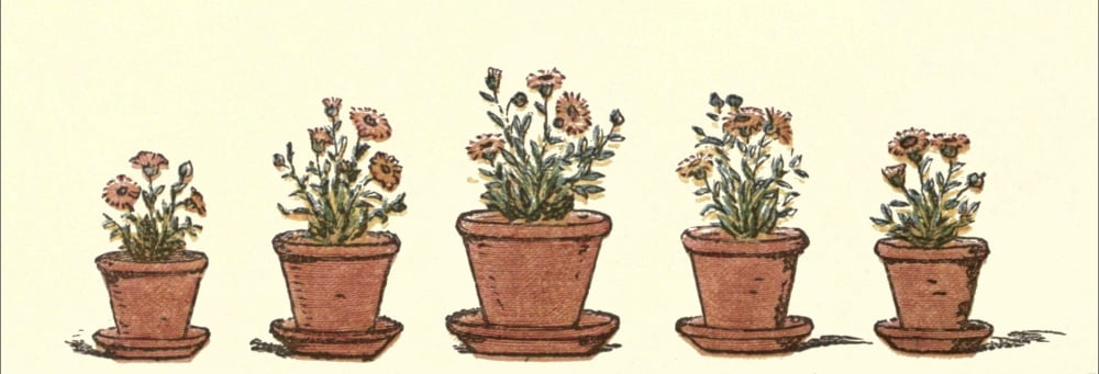 Posterazzi Under the Window 1879 Five flower-pots Canvas Art - Kate Greenaway (24 x 36)