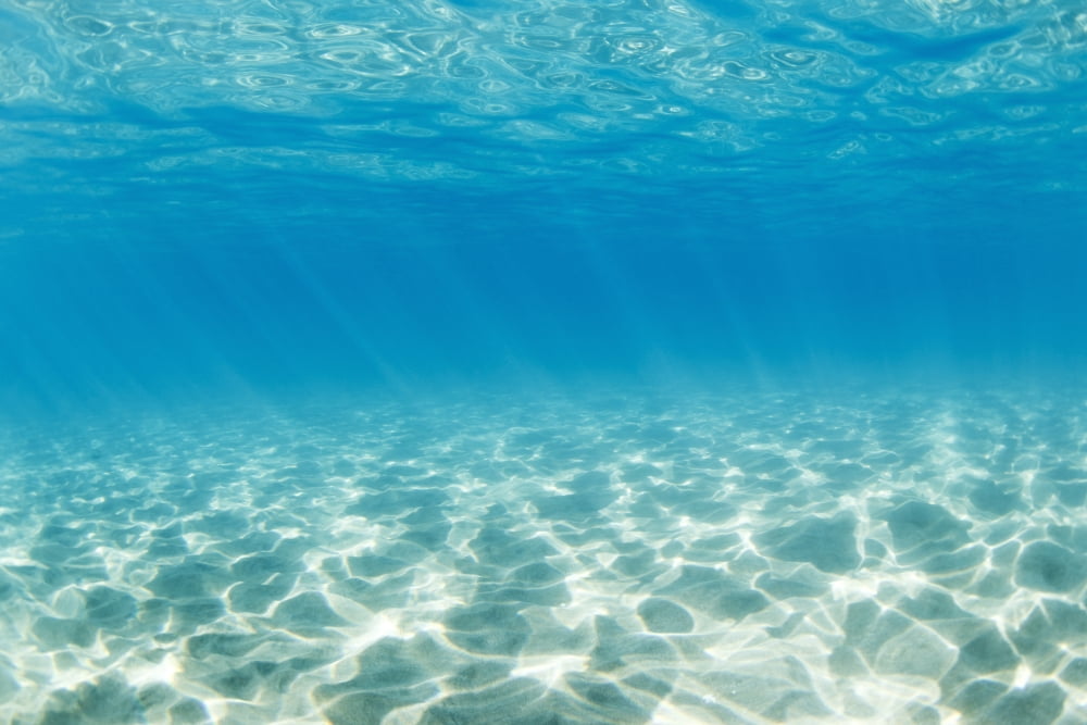 Posterazzi Underwater Canvas Art - Design Pics Vibe Design Pics (34 x 22)