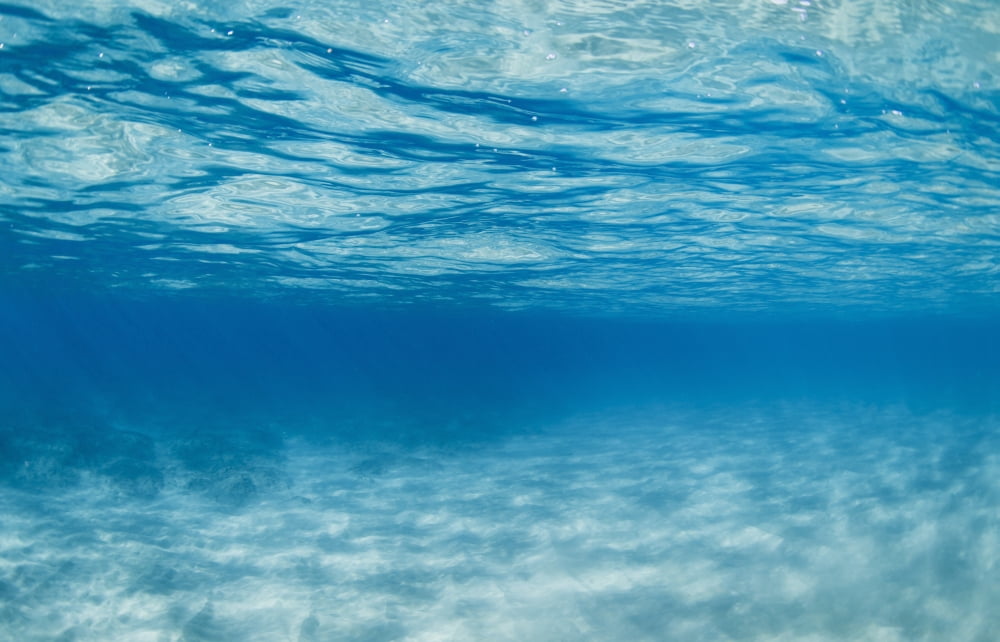 Posterazzi Underwater Canvas Art - Design Pics Vibe Design Pics (34 x 22)