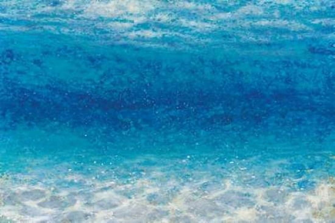 Posterazzi Underwater I Canvas Art - James Wiens (24 x 36)
