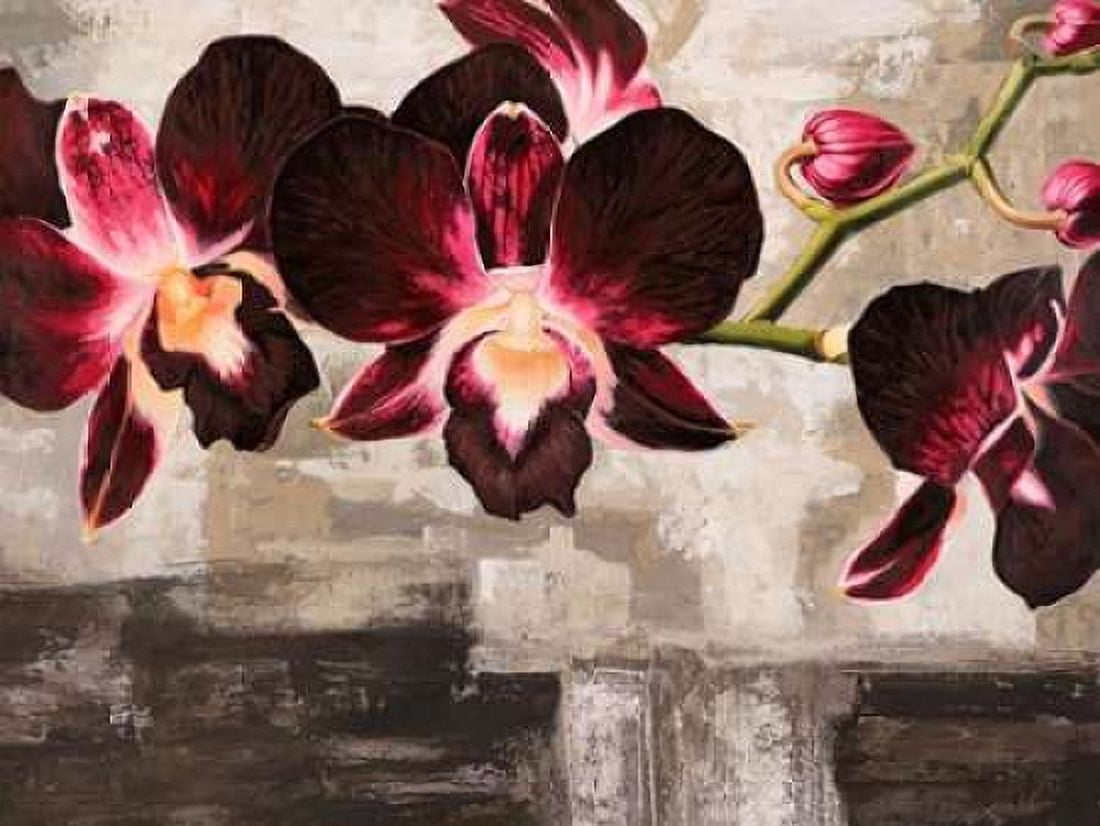 Posterazzi Velvet Orchids Canvas Art - Shin Mills (22 x 28)