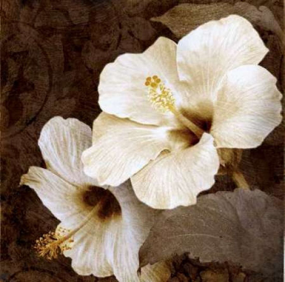 Posterazzi Verdant Blooms Canvas Art - Keith Mallett (24 x 24)