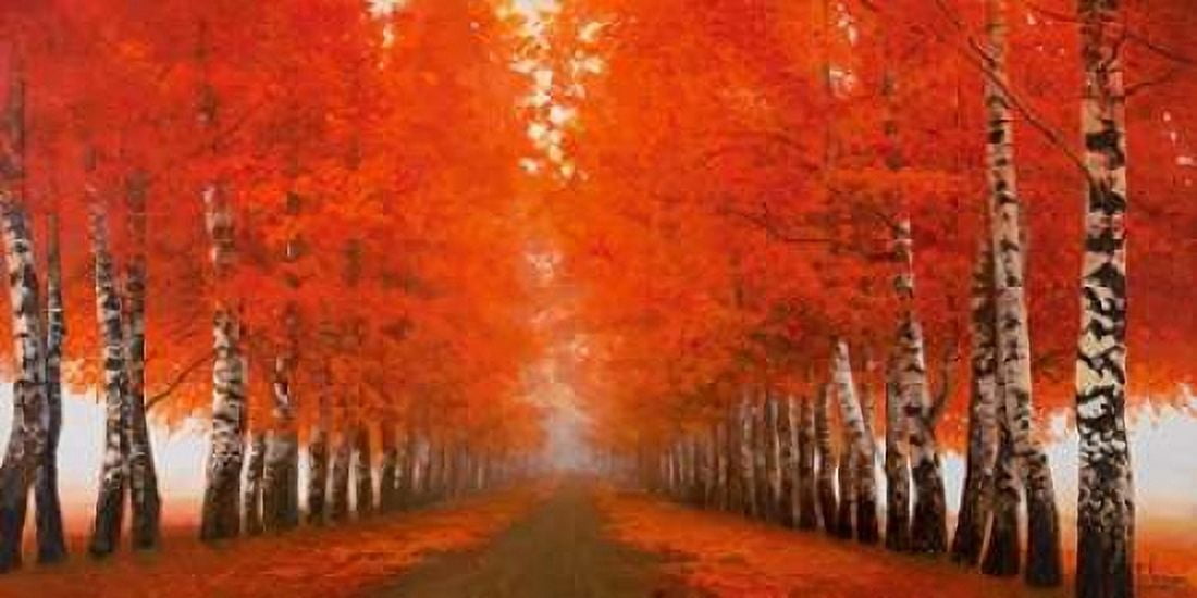 Posterazzi Viale di betulle Canvas Art - Adriano Galasso (24 x 48)
