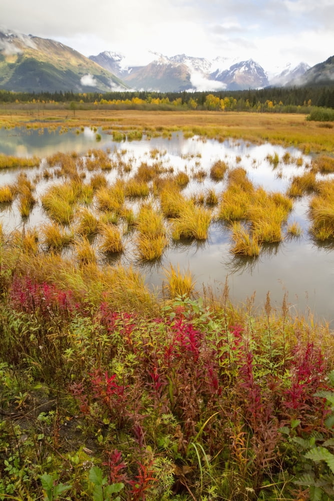 Posterazzi View Of Colorful Landscape From The Seward Highway At About Mile 90 Looking Towards Girdwood Southcentral Alaska Autumn Canvas Art - Doug Lindstrand Design Pics (24 x 38)
