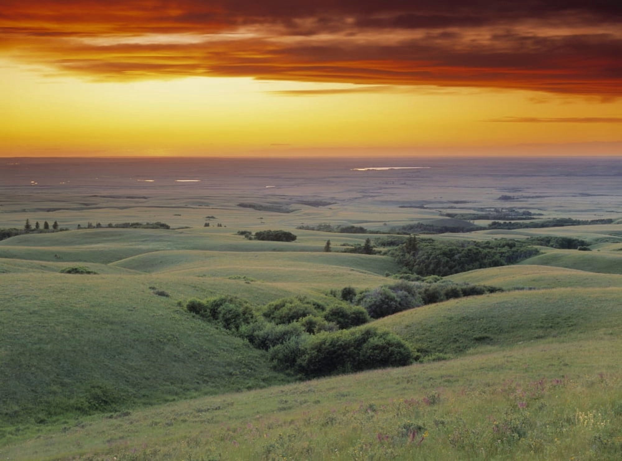 Posterazzi View From The Cypress Hills Saskatchewan Canada Canvas Art - Darwin Wiggett Design Pics (32 x 24)